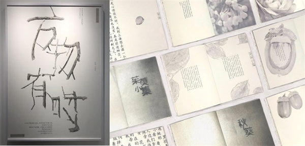 图片3.jpg 图片3.jpg